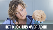 Afbeelding van Het Klokhuis